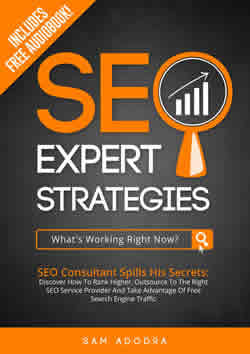 SEO Expert Strategies: SEO Consultant Spills His Secrets - Discover How To Rank Higher, Outsource To The Right SEO Service Provider And Take Advantage Of Free Search Engine Traffic